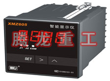 溫度表、數(shù)字顯示儀、濕度表
