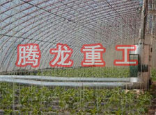 大棚花卉供暖設備、大棚卉采暖設備、大棚花卉取暖設備