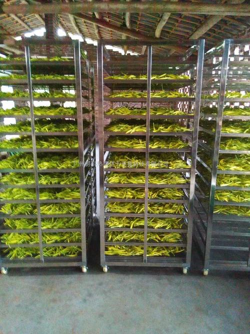 黃花菜烘干機(jī)、黃花菜烘干設(shè)備、黃花菜干燥機(jī)、黃花菜干燥設(shè)備、